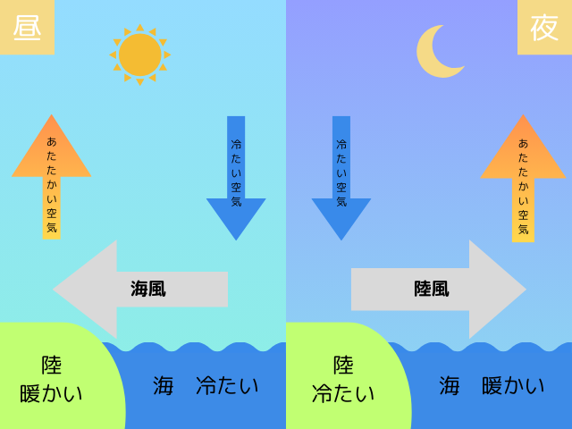 昼と夜で変わる海風と陸風の仕組みを示した図解イラスト